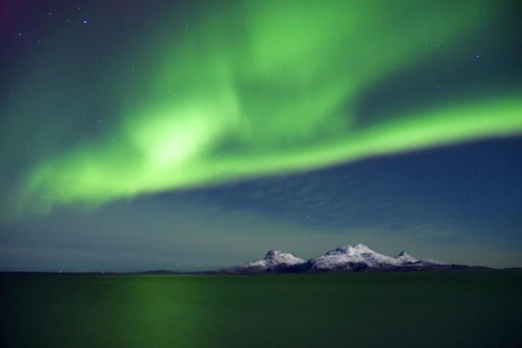 Lägenhet Nordlys Family - Bodo Myklebostad (Bodo)